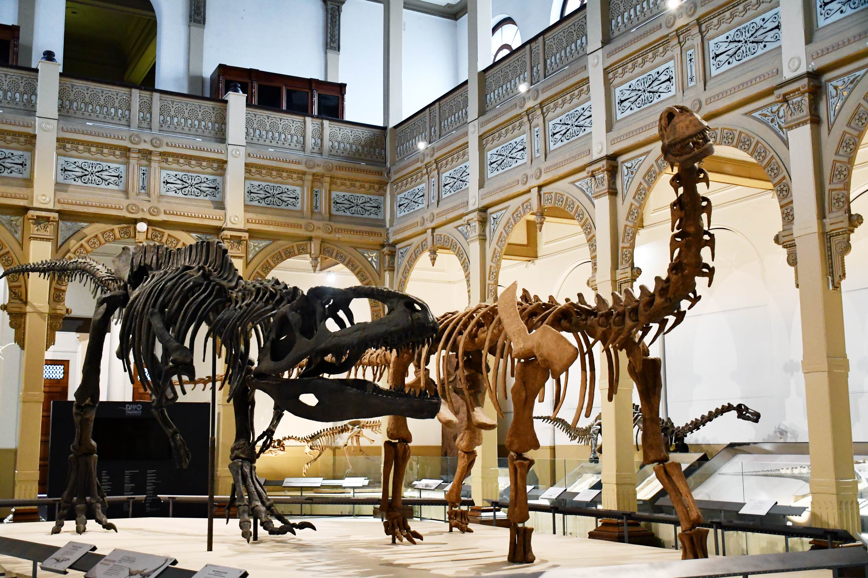 Museo Nacional de Historia Natural - Turisters