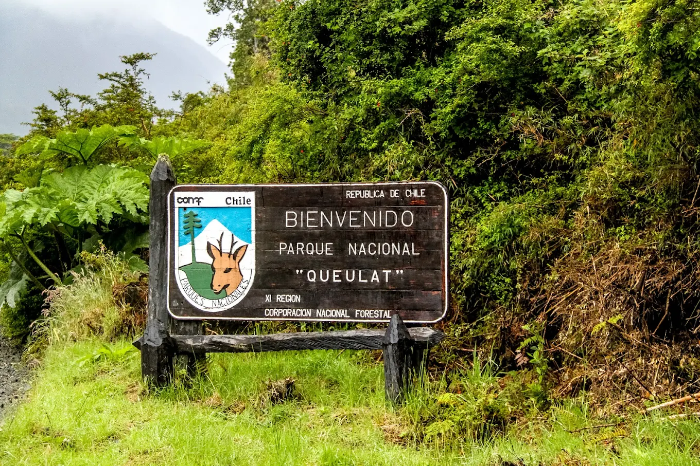 Parque nacional Queulat - Turisters