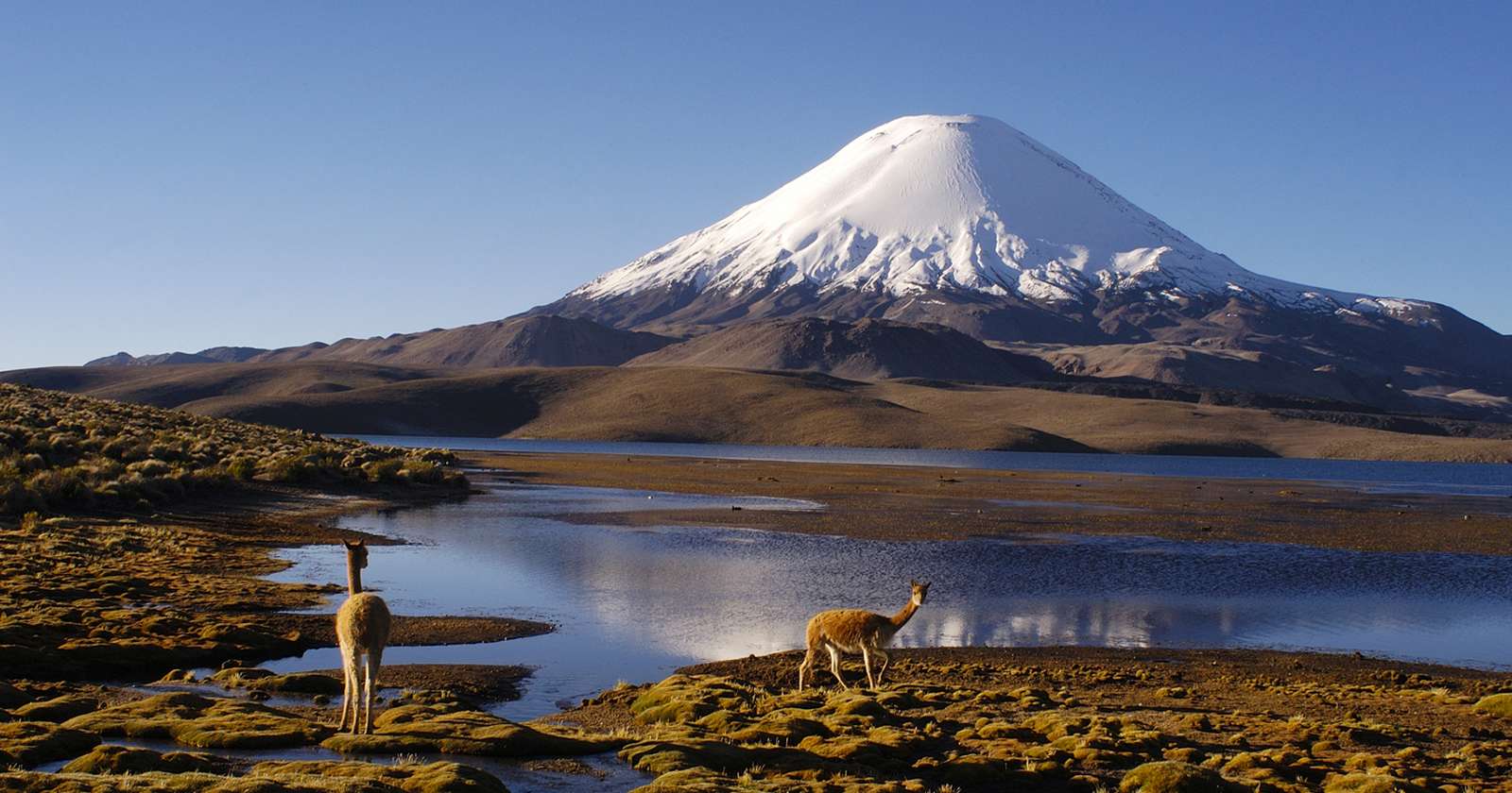 Lago Chungará