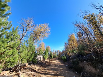 Ruta de los Placeres - Turisters